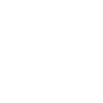 partner-log-chapter
