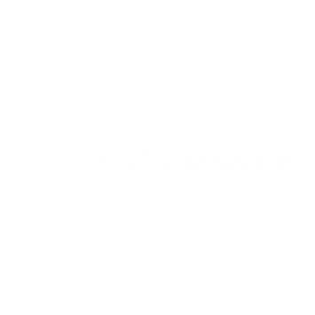 partner-log-endurance