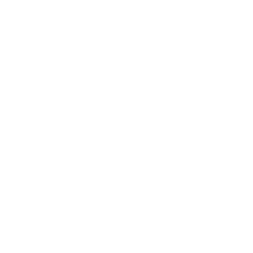 partner-log-lattice